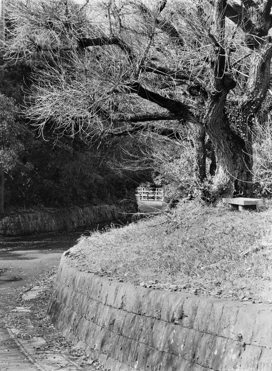 VØNPhoto tweet media