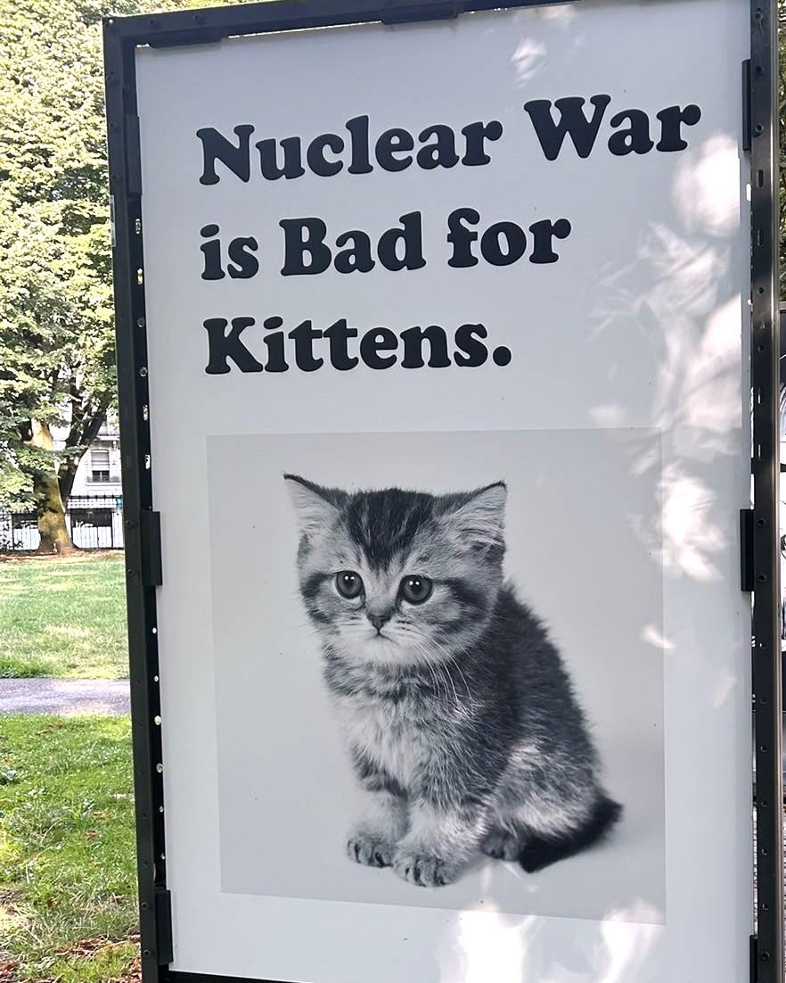 smol silly cat tweet media