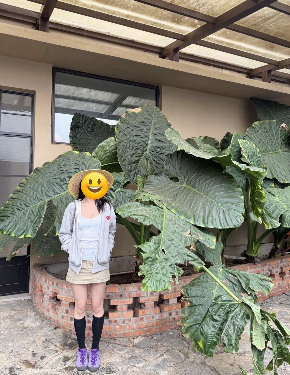 一个小男孩 tweet media