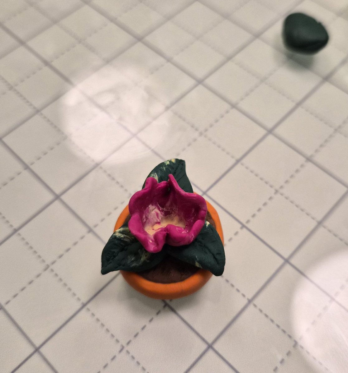 ✨️AreOhEssEyeEe✨️ tweet media