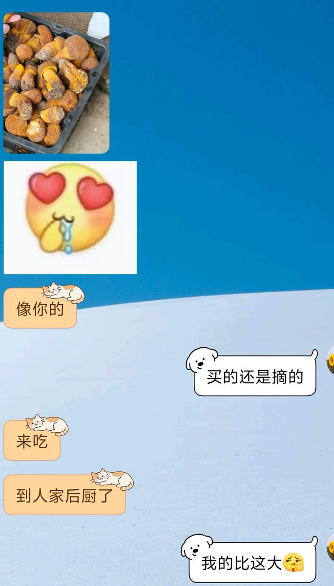 橙子花园 tweet media