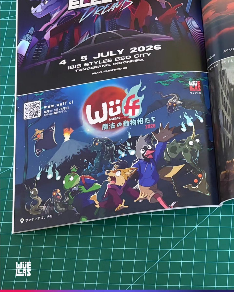 Wüellas 🔜 WüFF 2026 🇨🇱 tweet media