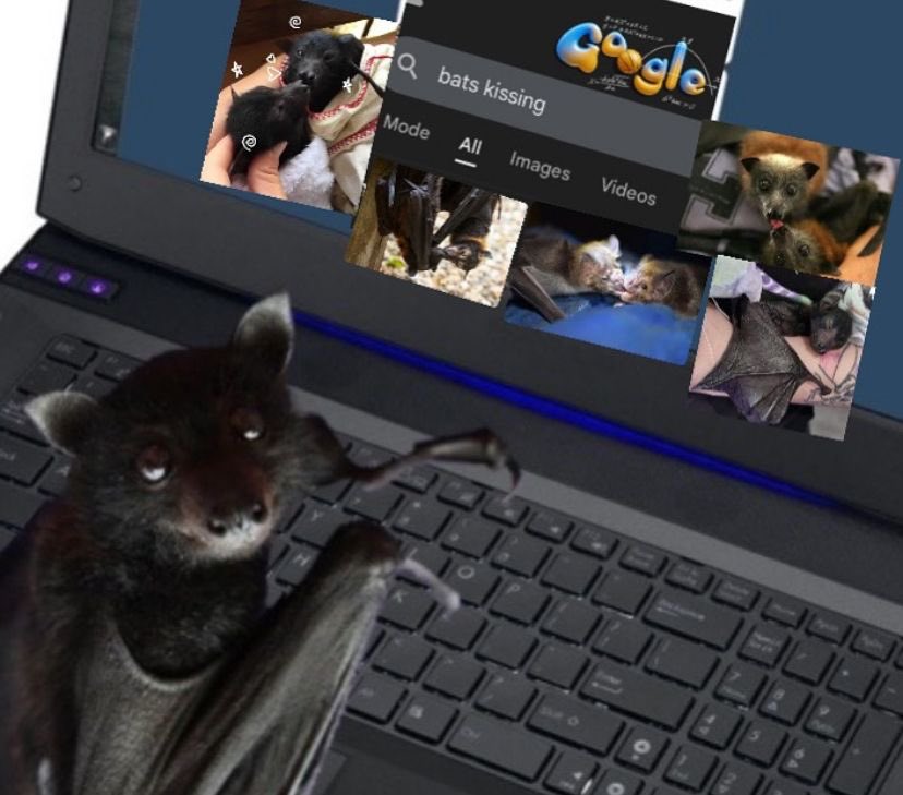 coffin!🐾🦴 tweet media