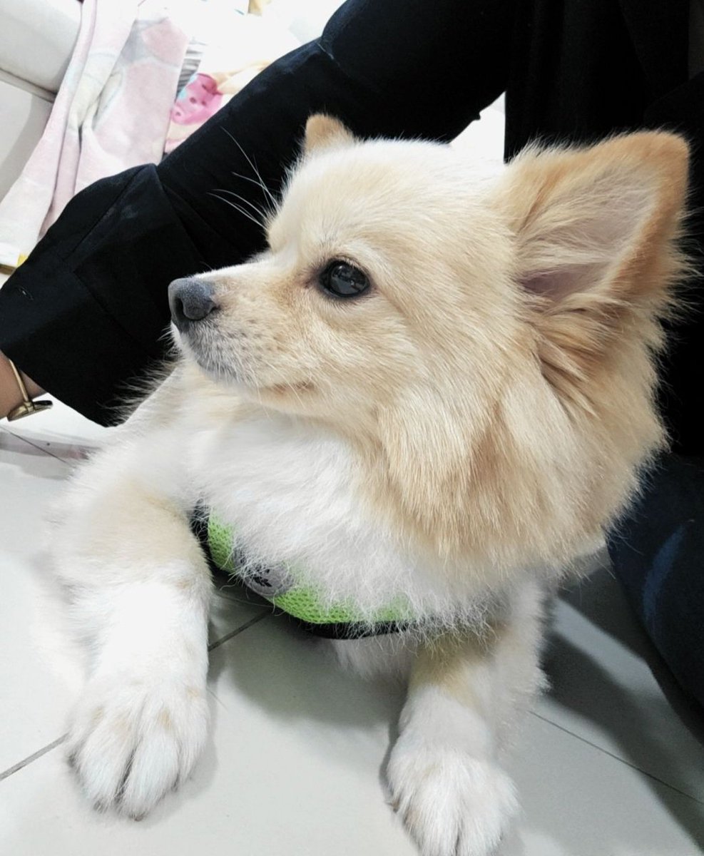 Alizza Chu ⚡💜 tweet media