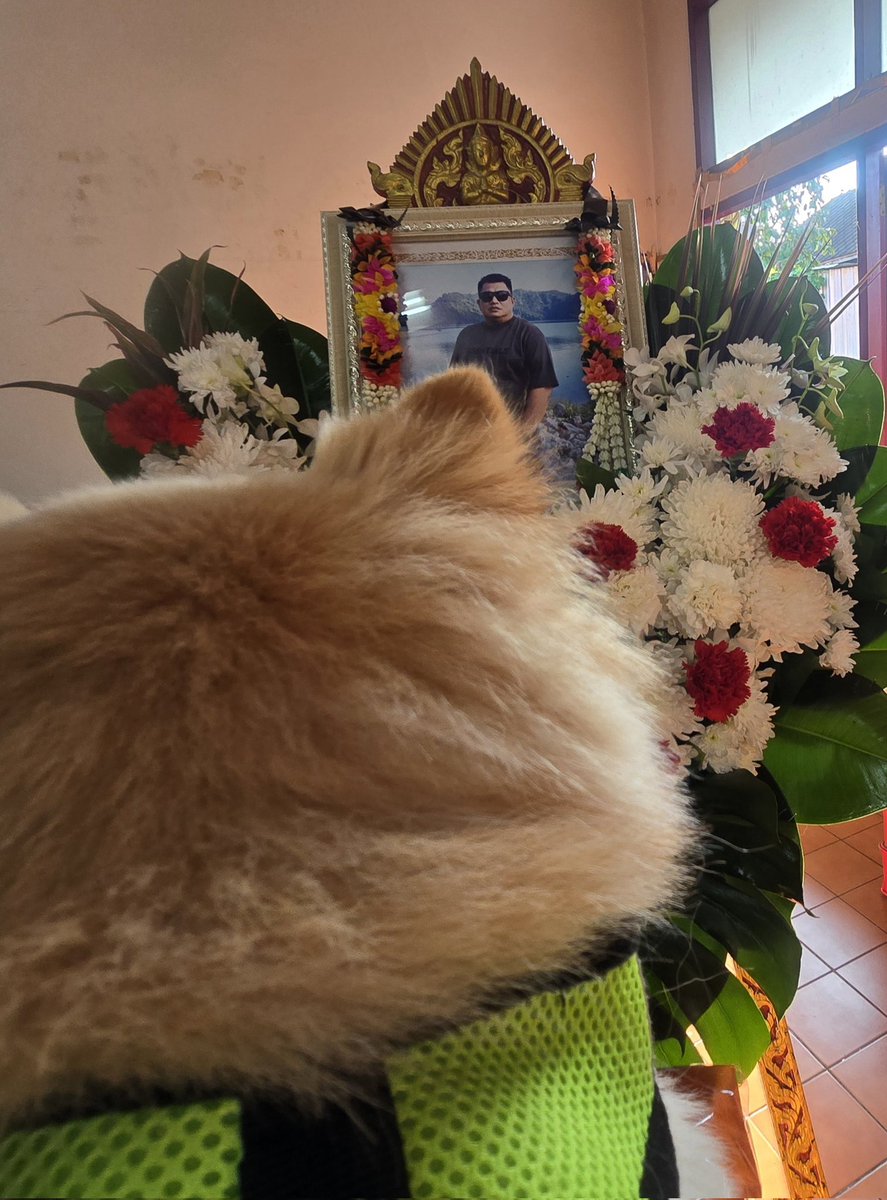 Alizza Chu ⚡💜 tweet media