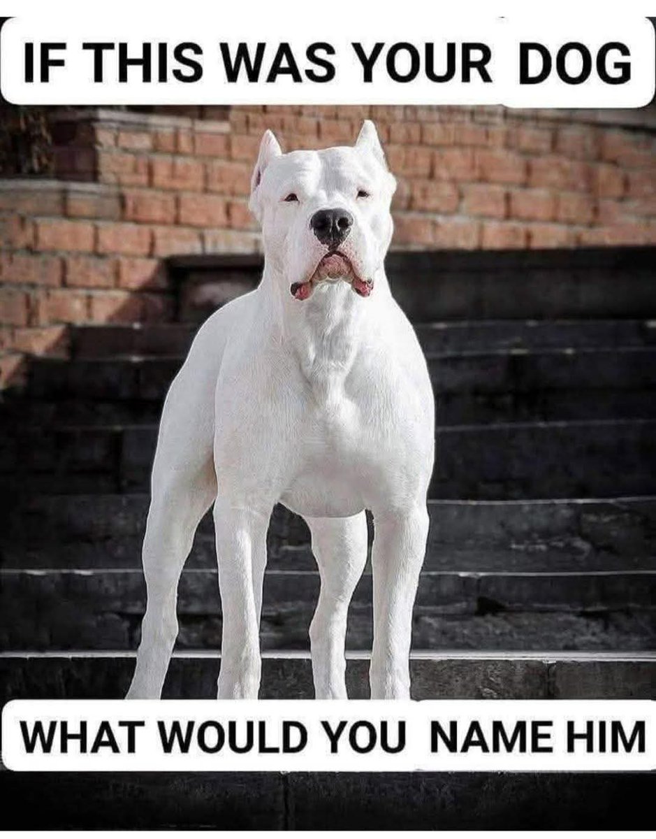 Rachel Luna🍀🐸 tweet media