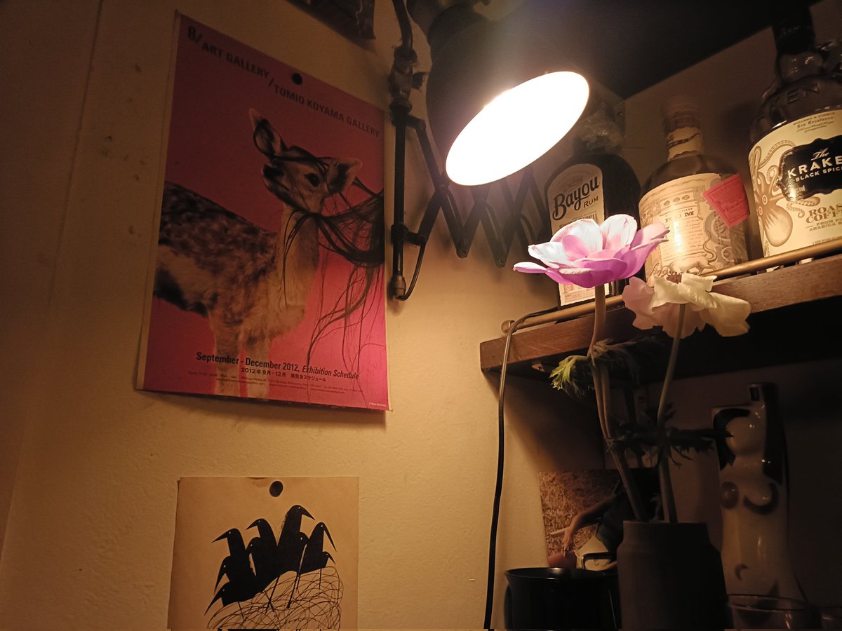 ウスイダイスケ tweet media