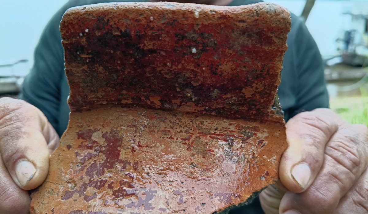 g1 Amazonas tweet media