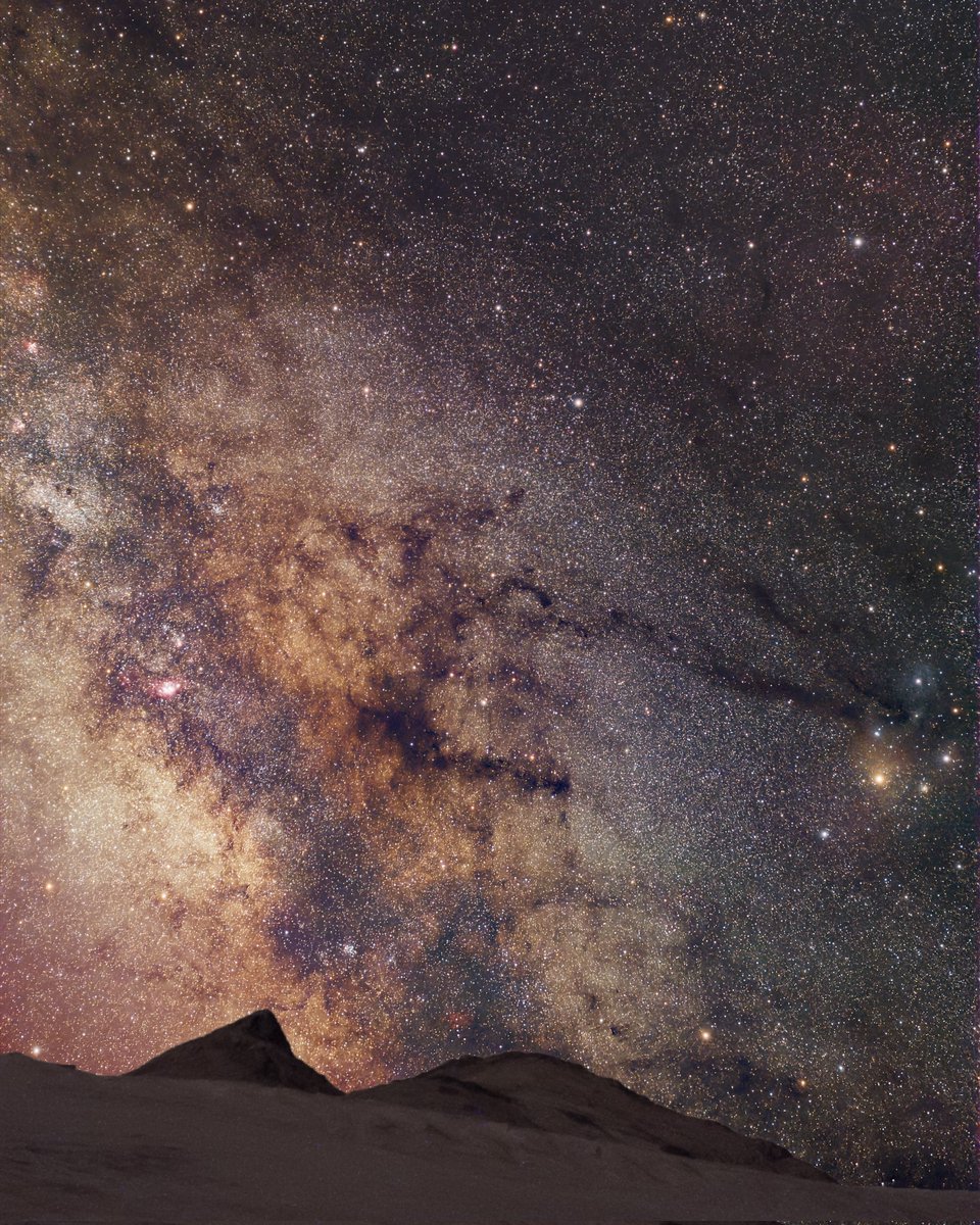 The Science Post tweet media