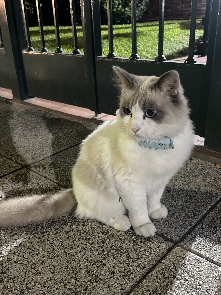 francisca 𓃹 tweet media