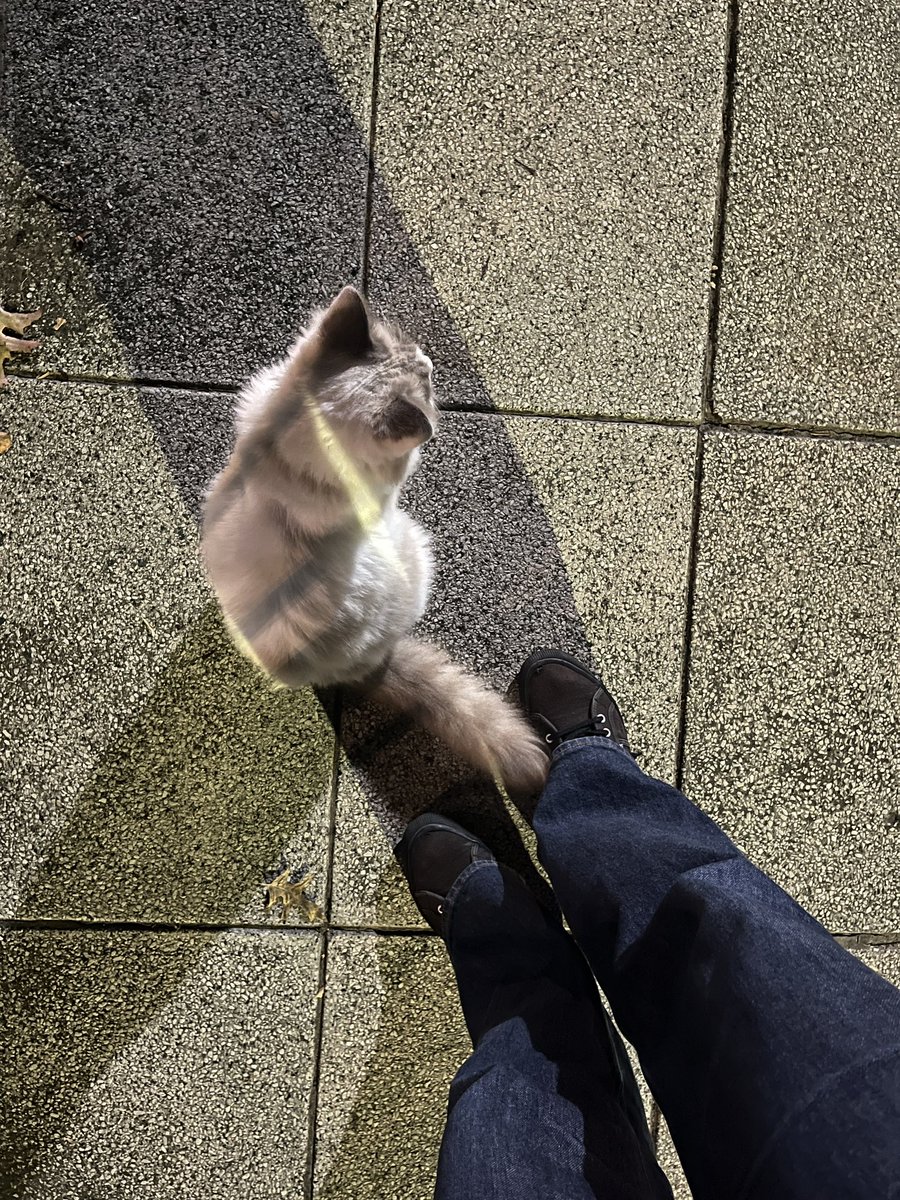 francisca 𓃹 tweet media