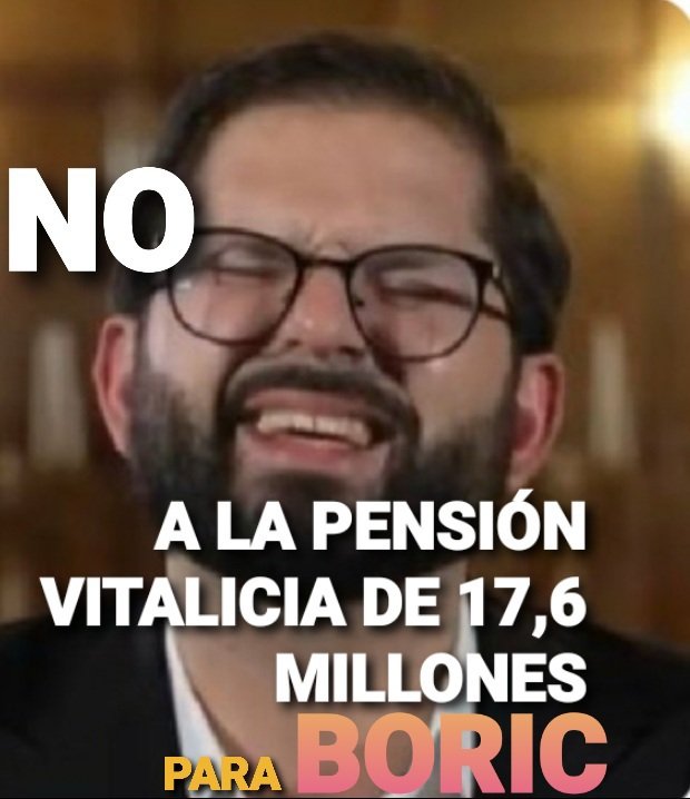 Fernanda tweet media