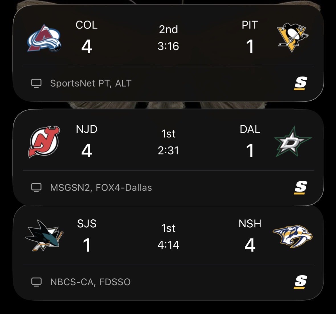 bear 🦌 tweet media