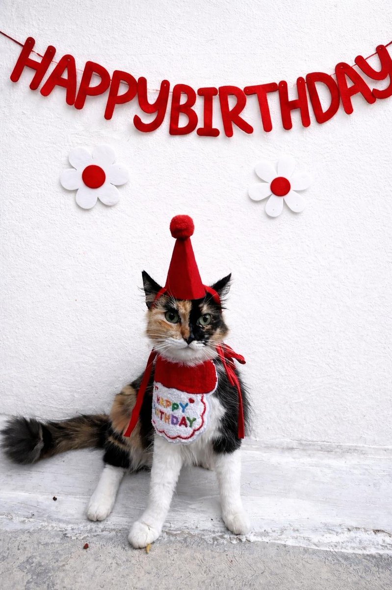 maf ♪ ENHYPEN IS 7 tweet media