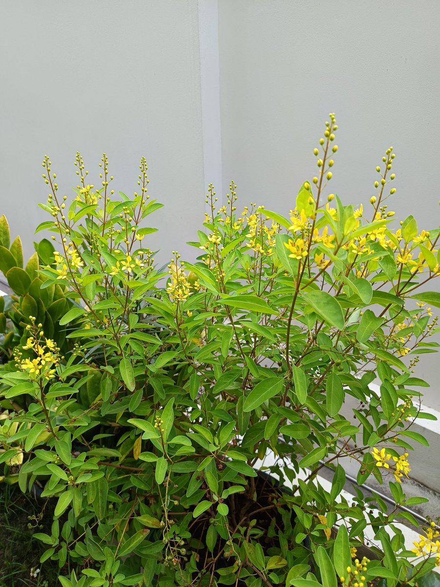 GIB 🍂🍄⛅ tweet media