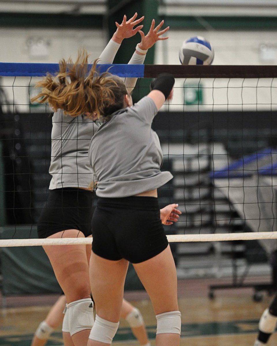 Jaspers Women's Volleyball tweet media