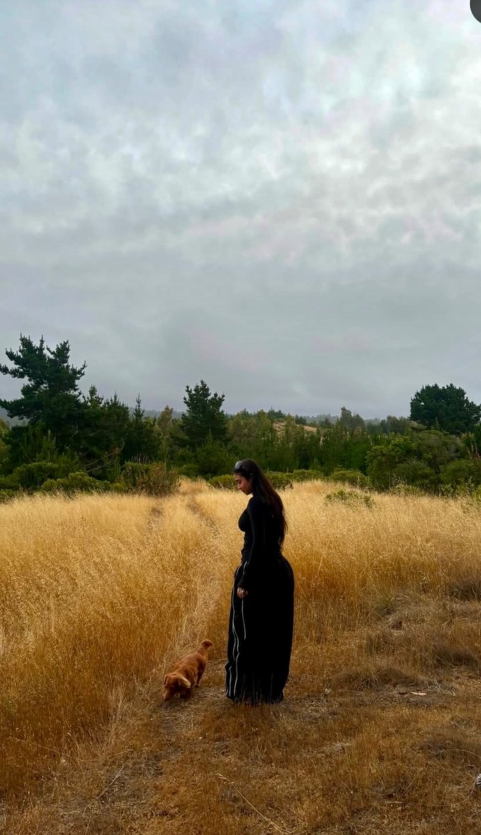 PALOMA MAMI 🕊️Coreos + tweet media