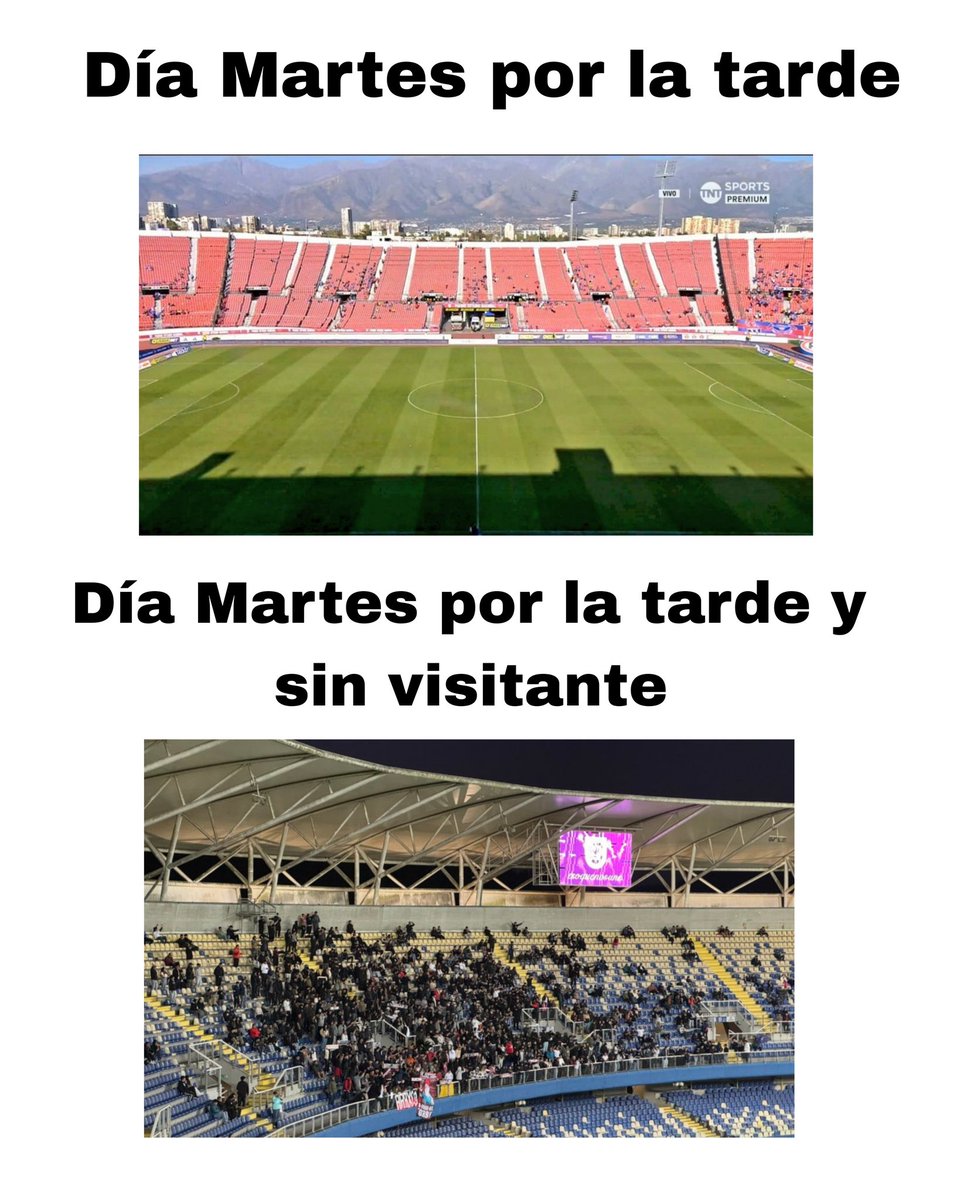 Salfatedelcolo tweet media