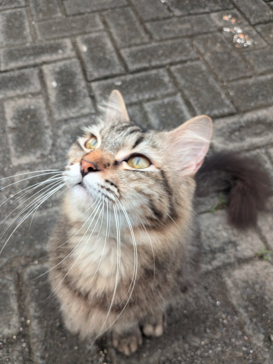 aell | 🩰 tweet media