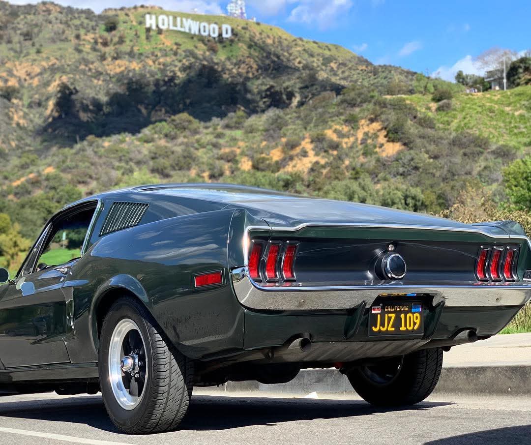 Willy Coyote 5.0 tweet media