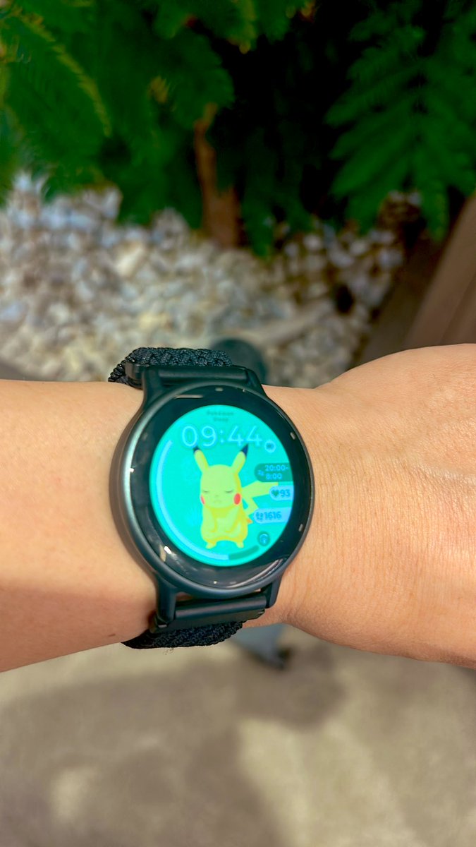 ザコ足さんといっしょ🏃亮 tweet media