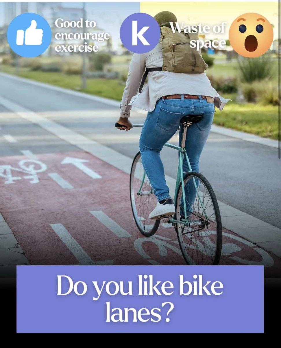 discocat tweet media