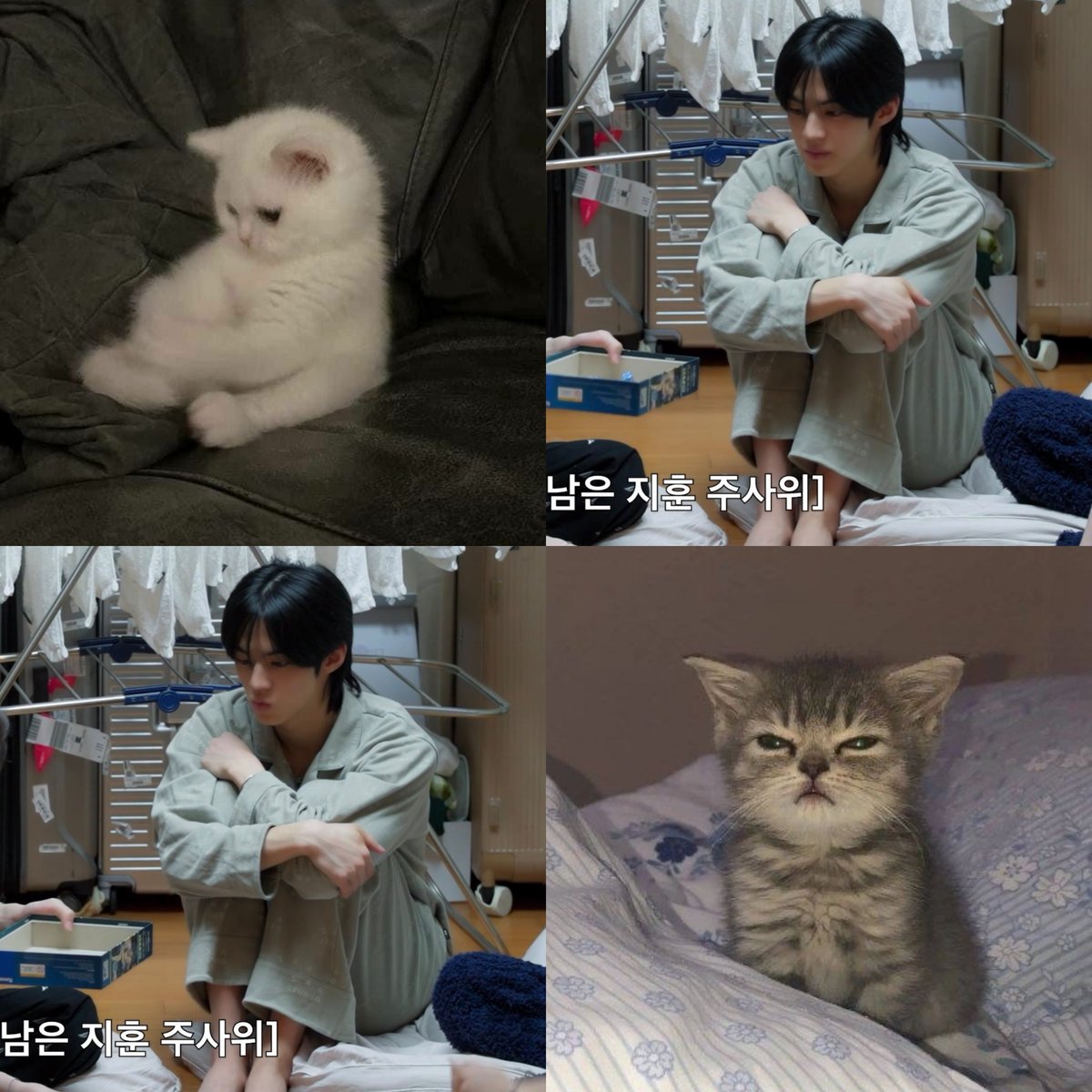 amarickk_ tweet media