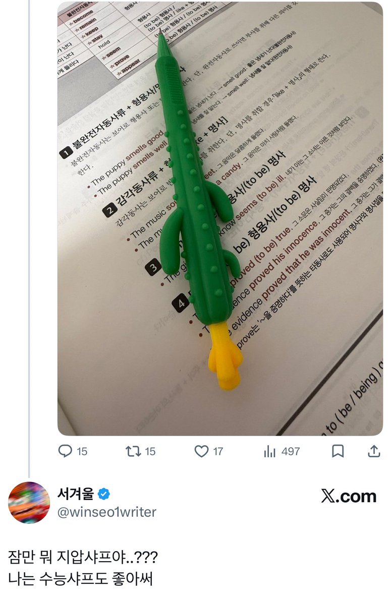 헤비약이🐤(상태:부계) tweet media