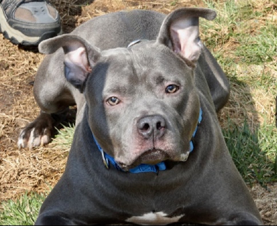 Quinn 💛(G.Quinn Rogers) tweet media