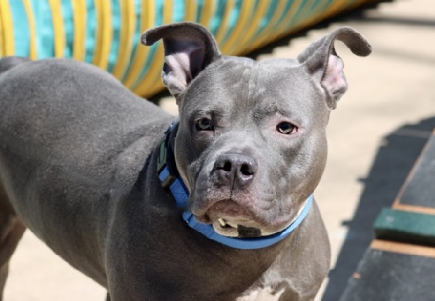 Quinn 💛(G.Quinn Rogers) tweet media