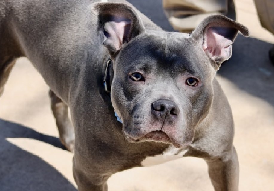 Quinn 💛(G.Quinn Rogers) tweet media