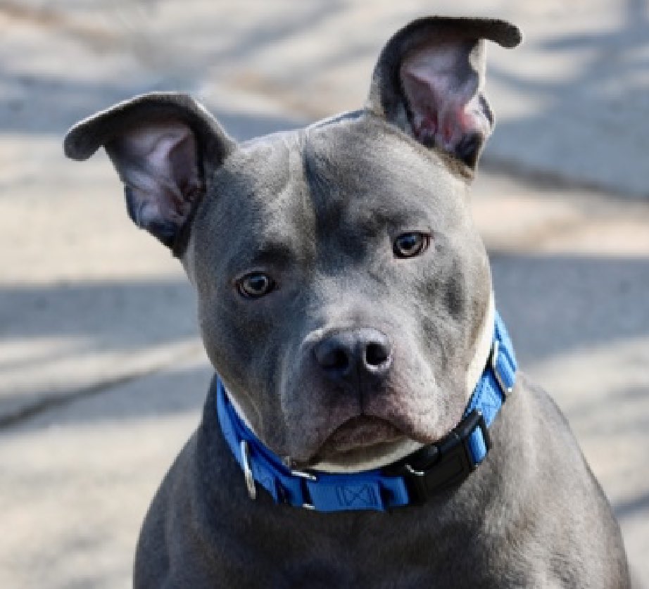 Quinn 💛(G.Quinn Rogers) tweet media