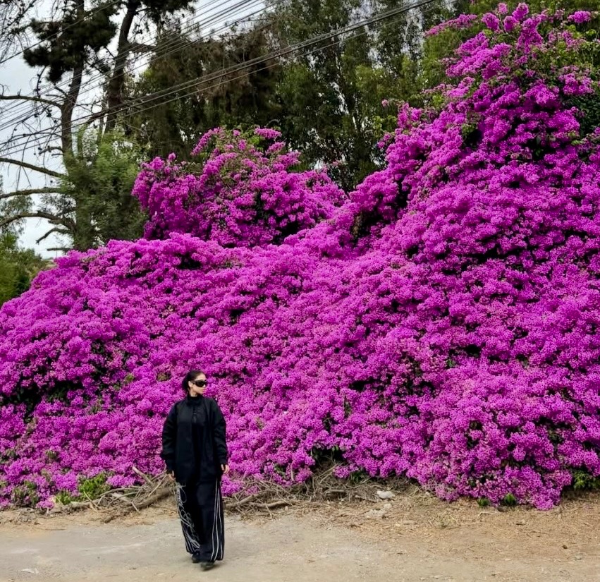 PALOMA MAMI 🕊️Coreos + tweet media