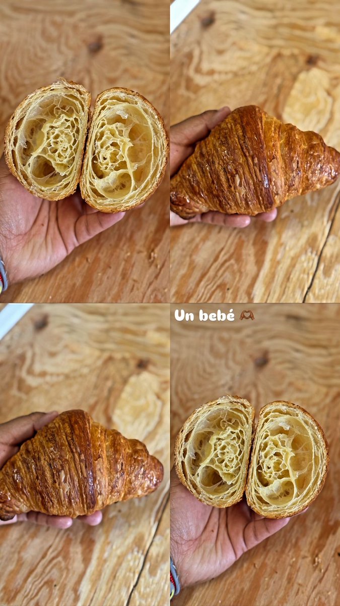 Valeria Lemus tweet media