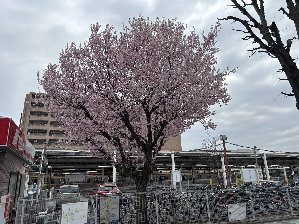 リーダー tweet media