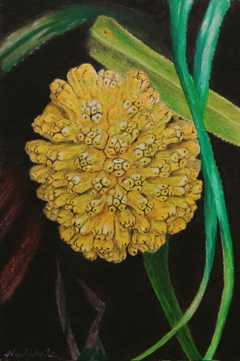 路地天 tweet media