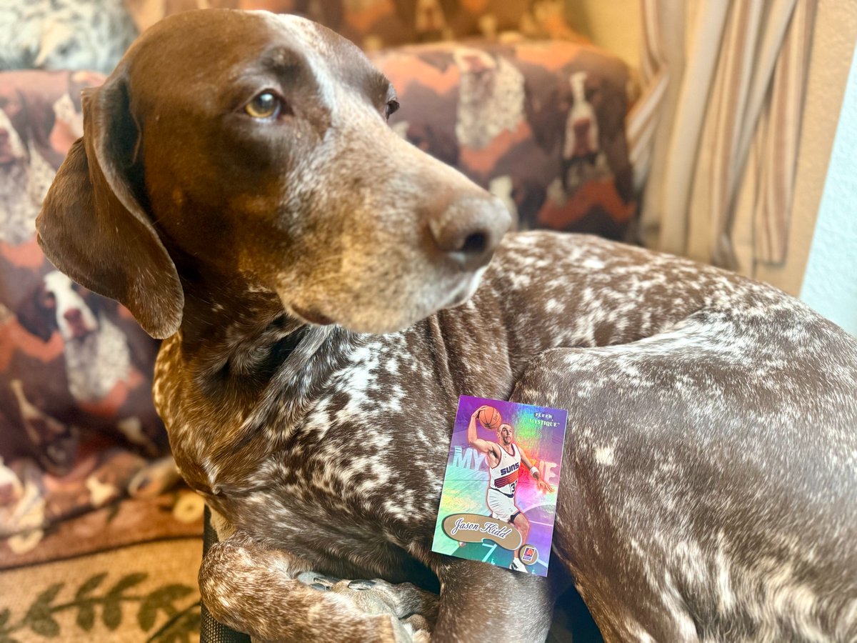 Dan Hyatt tweet media