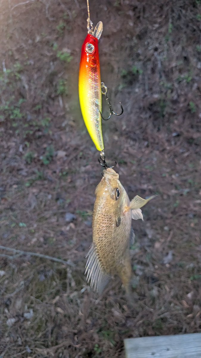 Captain Chudley ❤️‍🔥 tweet media