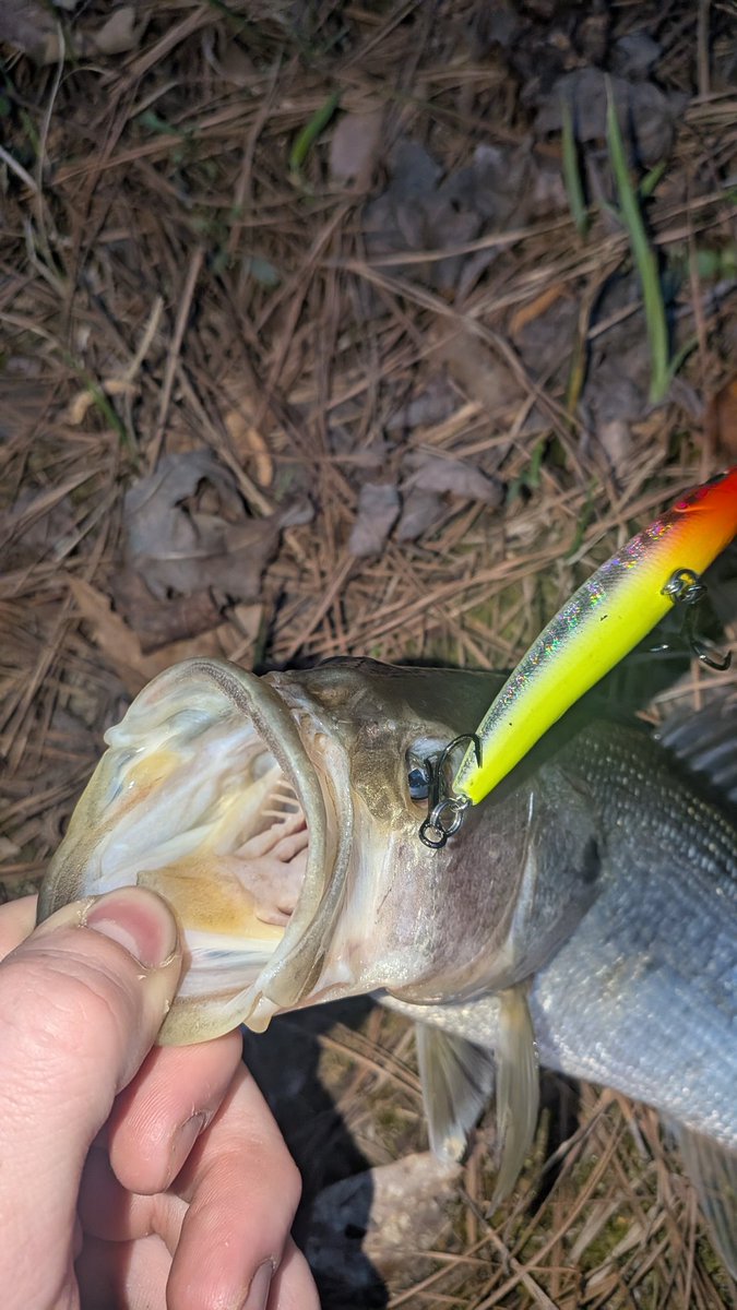 Captain Chudley ❤️‍🔥 tweet media