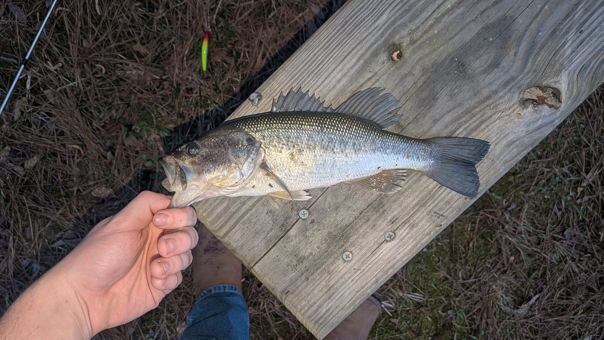 Captain Chudley ❤️‍🔥 tweet media