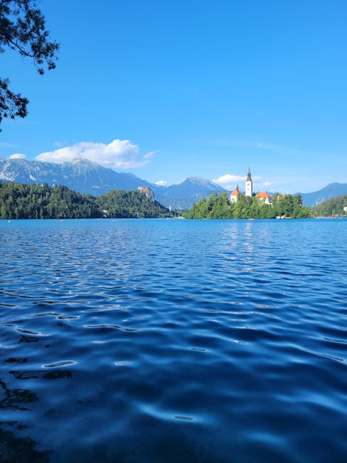 Annette Simon tweet media