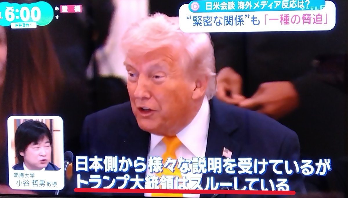 Green frog (肉球🐾🐾) tweet media