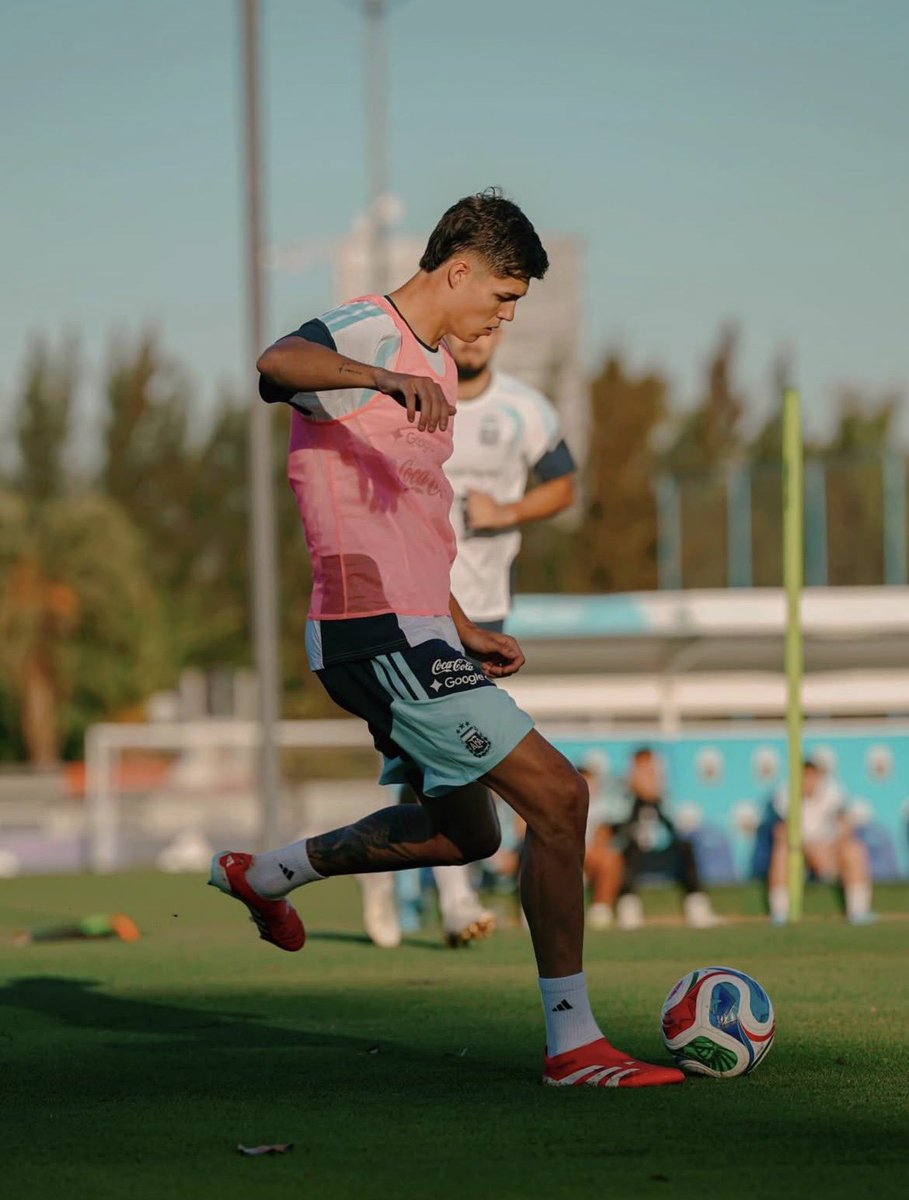 Fer Pujol tweet media