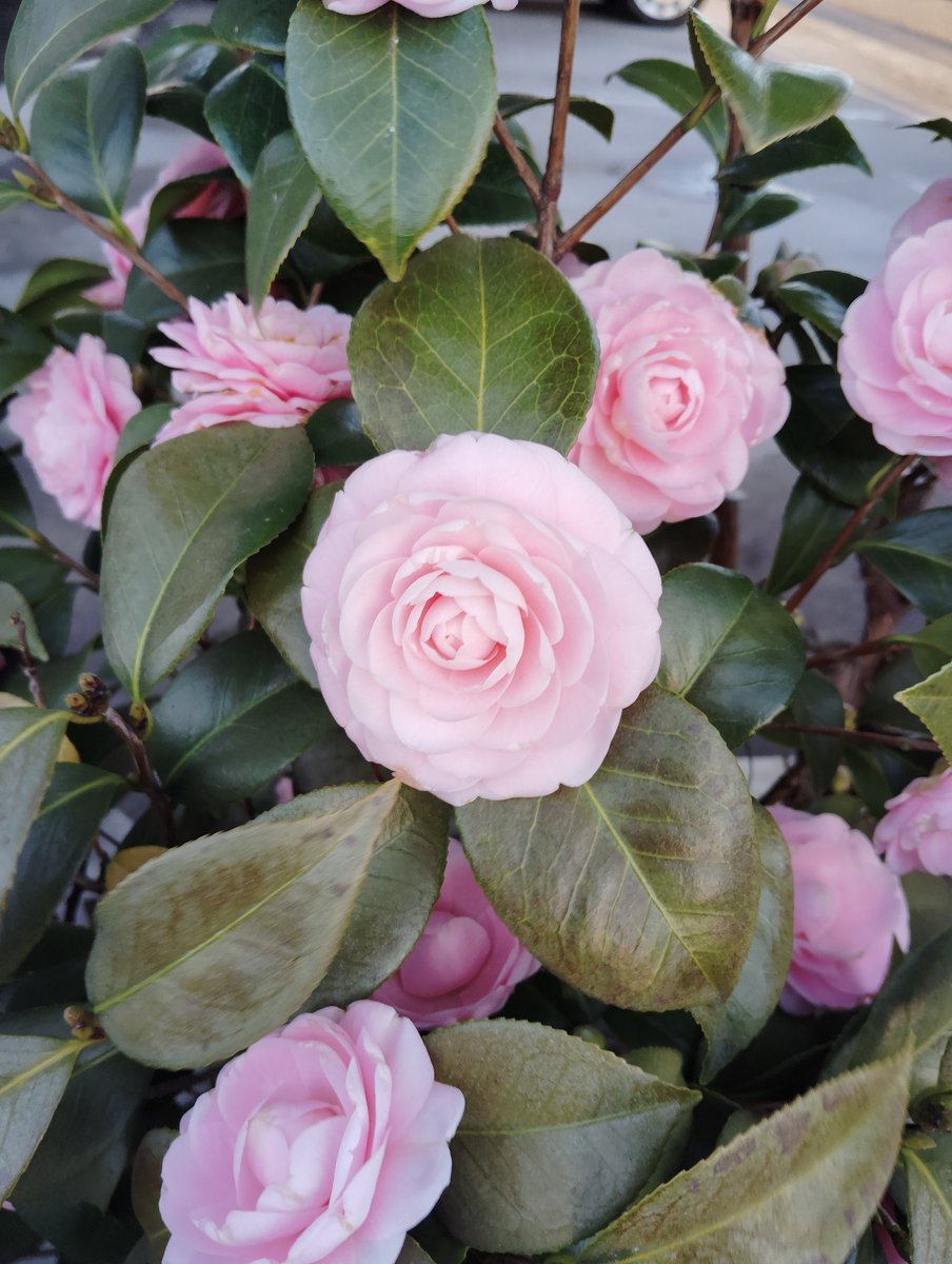 タカコ tweet media