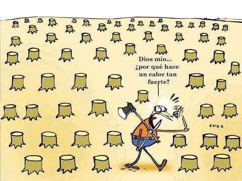 Ernesto Gutierrez tweet media