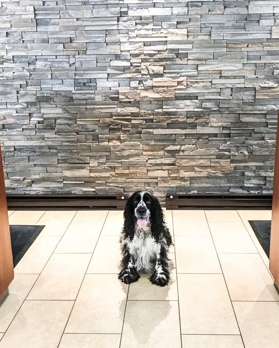 Sheraton Vancouver Airport tweet media