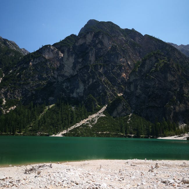 Jonathan Hill tweet media