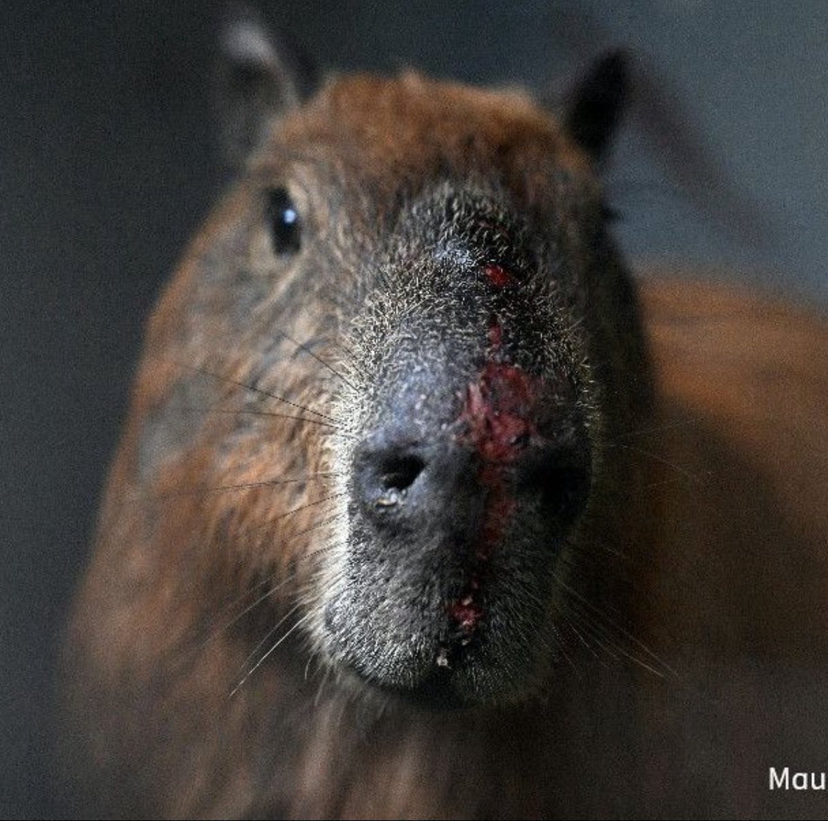 kaarolzx tweet media