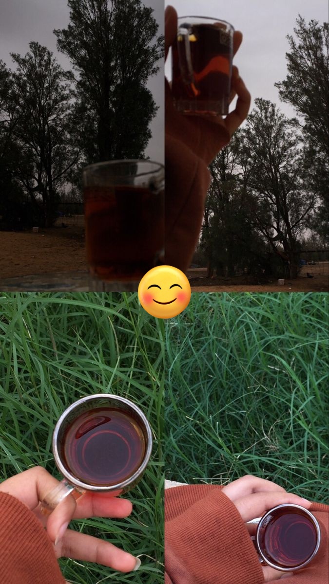 صنعانيه غير tweet media