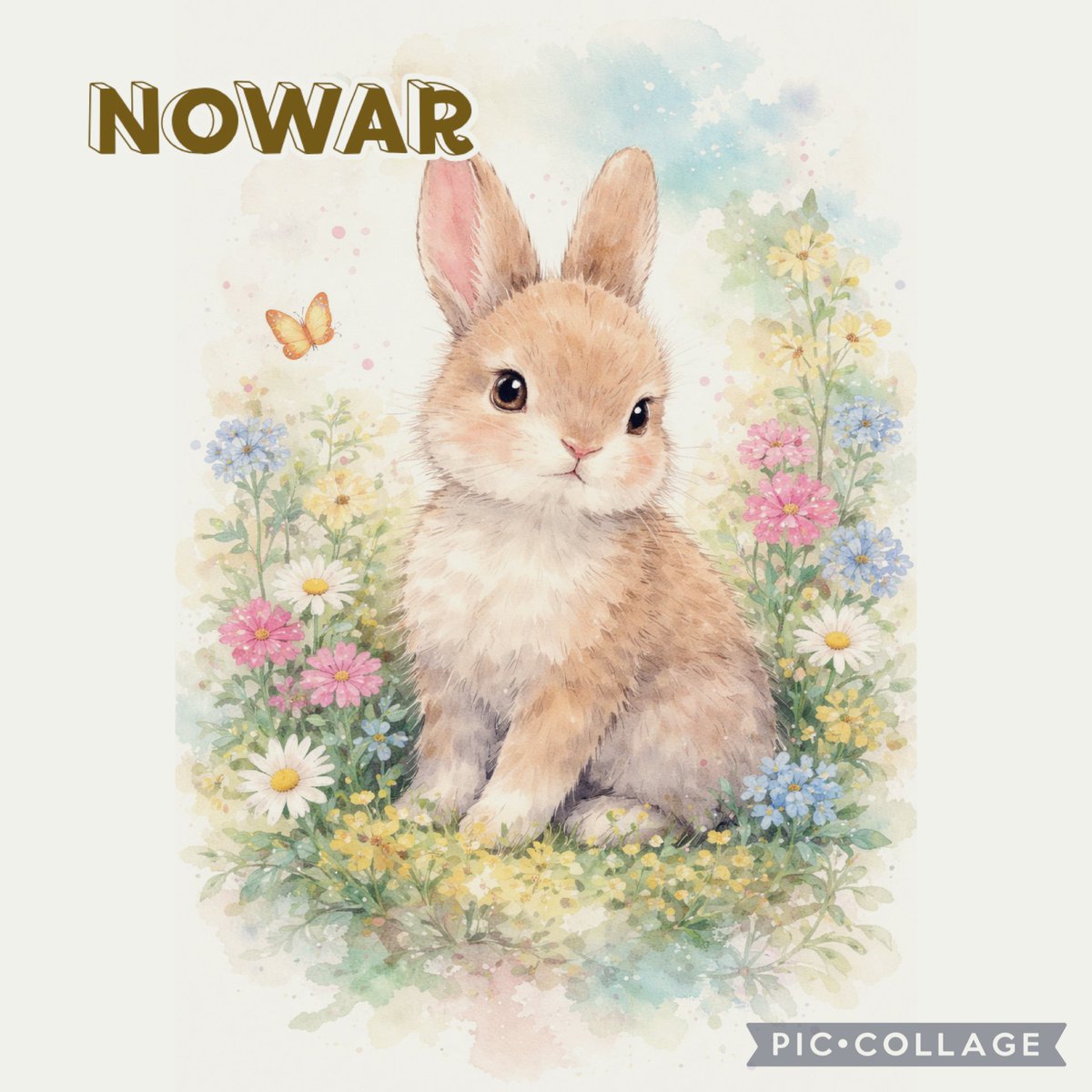 なないろ🕊️戦争に加担しない tweet media